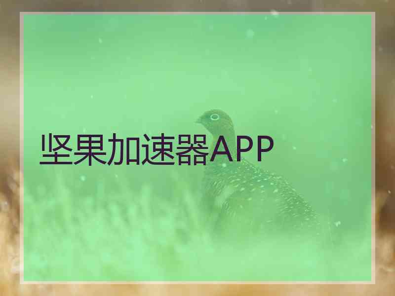 坚果加速器APP