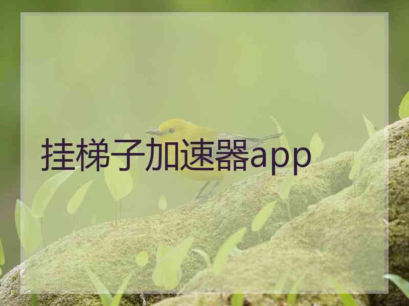 挂梯子加速器app