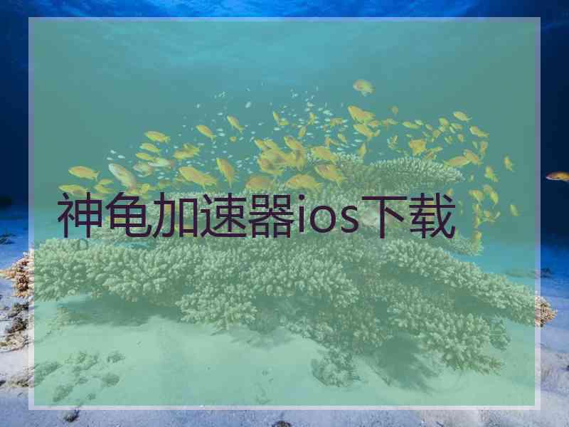 神龟加速器ios下载