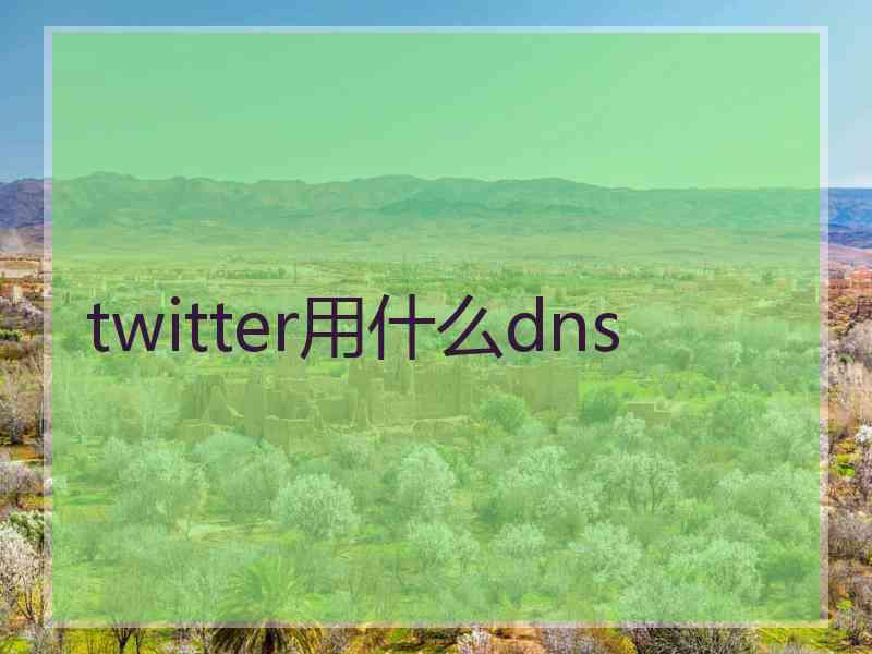 twitter用什么dns