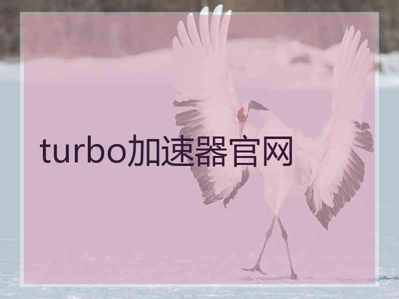 turbo加速器官网