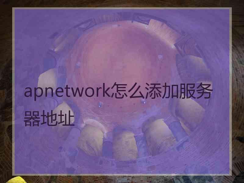 apnetwork怎么添加服务器地址