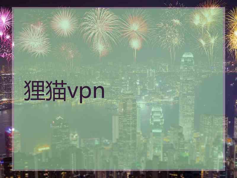 狸猫vpn