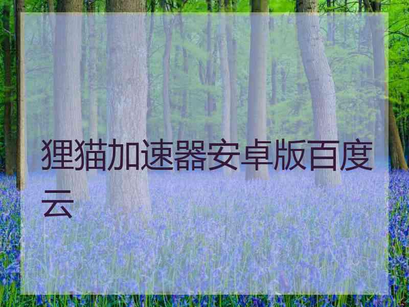 狸猫加速器安卓版百度云