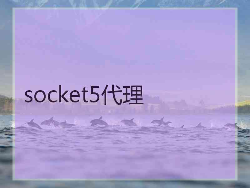 socket5代理