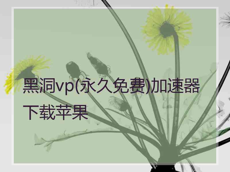 黑洞vp(永久免费)加速器下载苹果