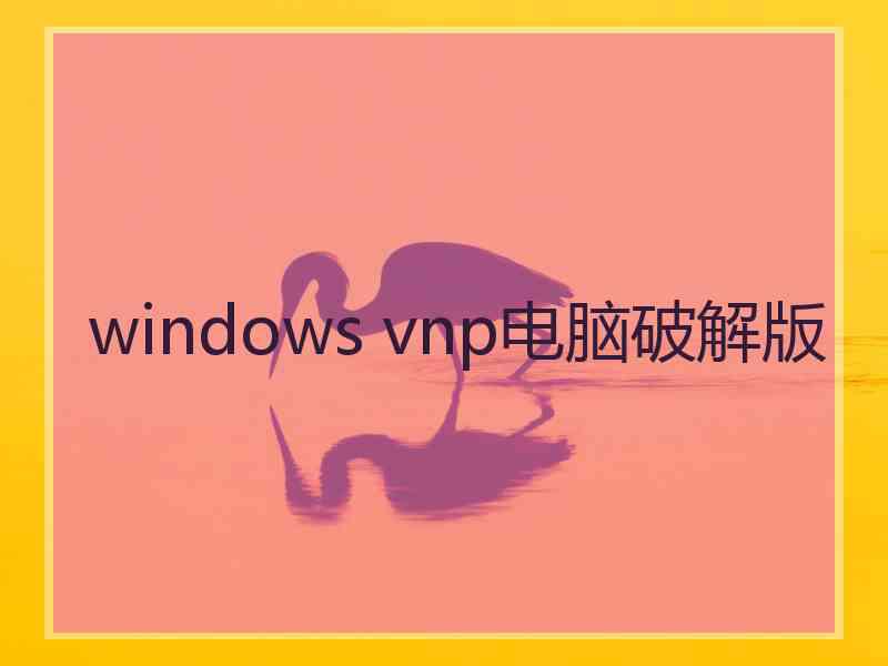 windows vnp电脑破解版