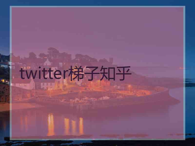 twitter梯子知乎