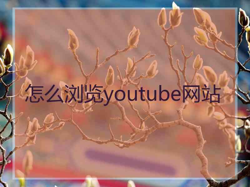 怎么浏览youtube网站