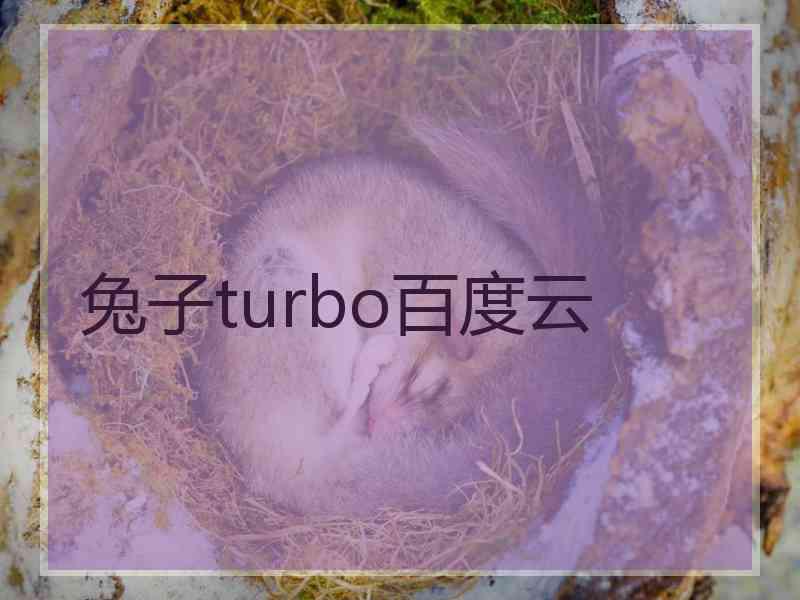 兔子turbo百度云