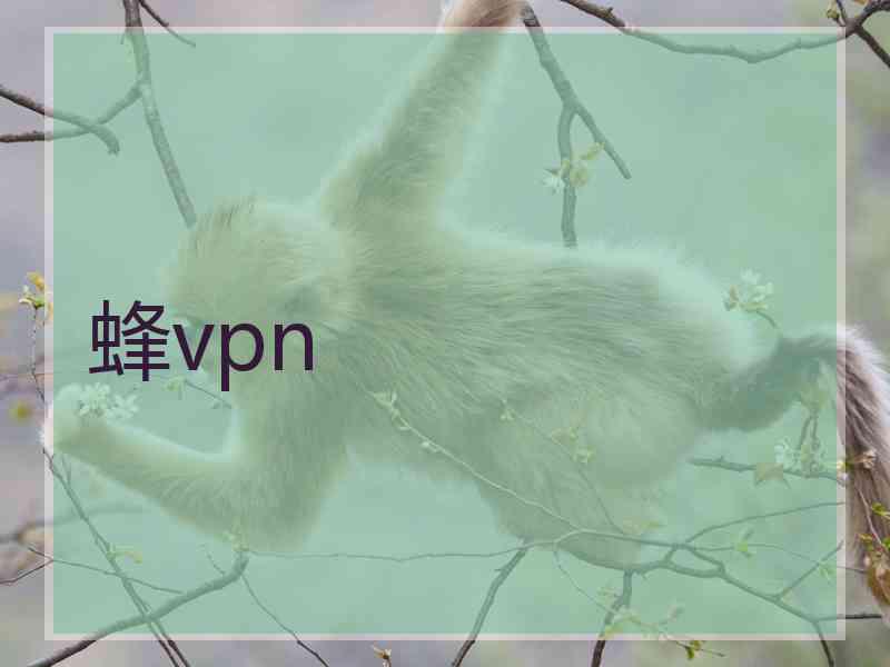 蜂vpn