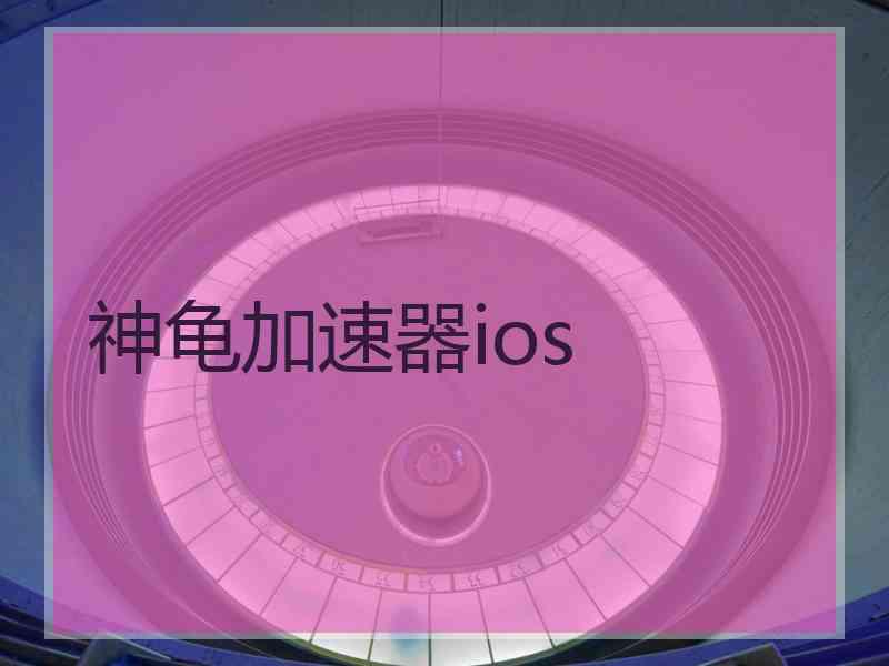 神龟加速器ios