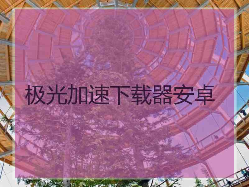 极光加速下载器安卓