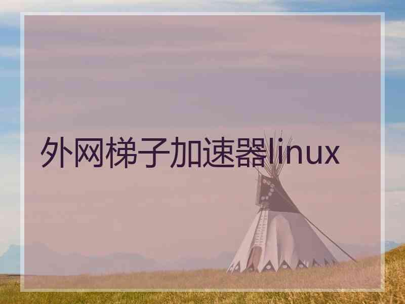 外网梯子加速器linux