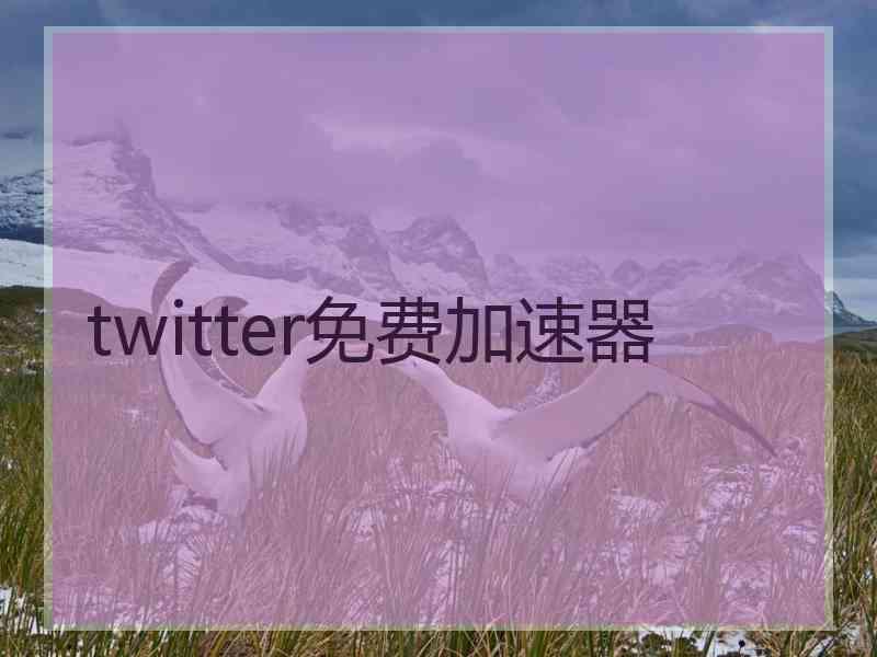 twitter免费加速器