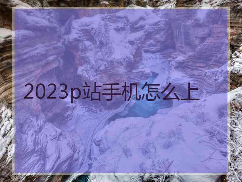 2023p站手机怎么上