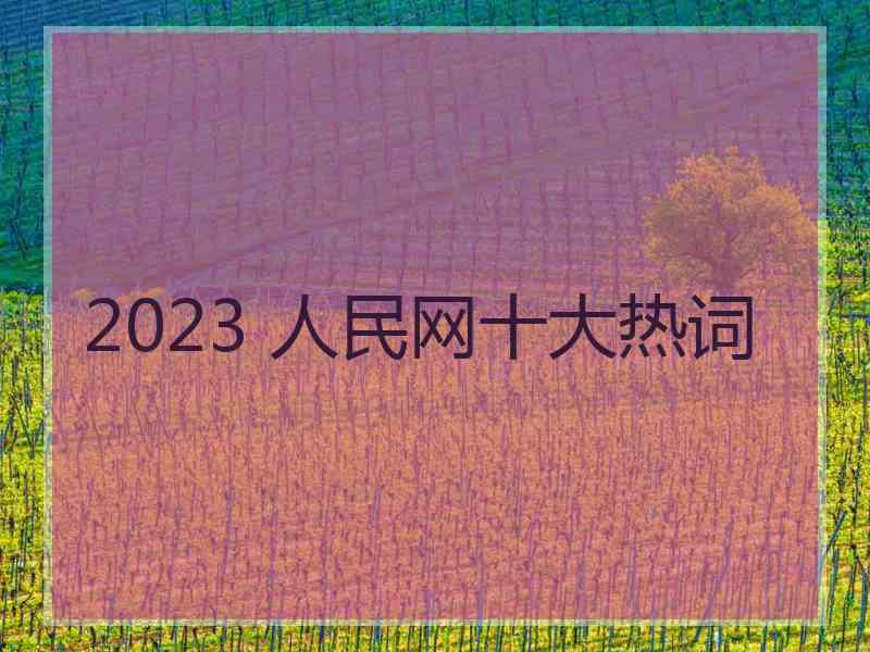 2023 人民网十大热词