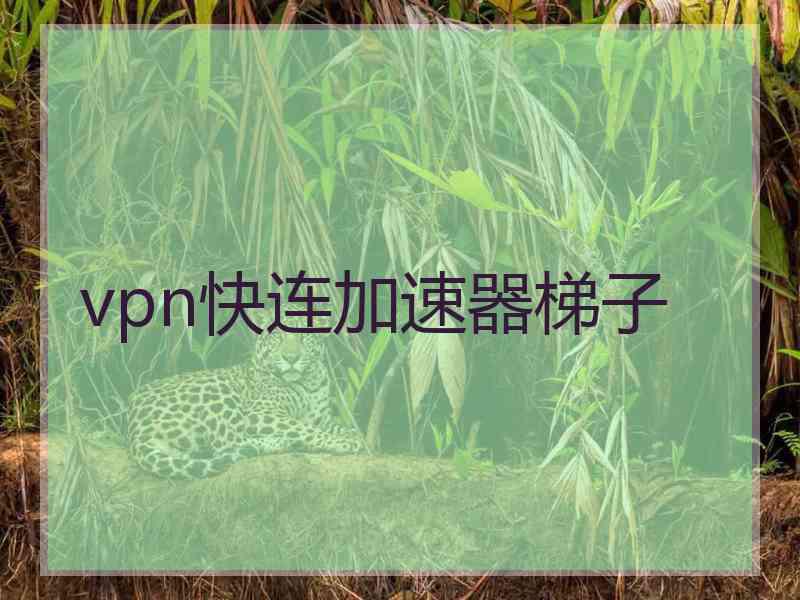 vpn快连加速器梯子