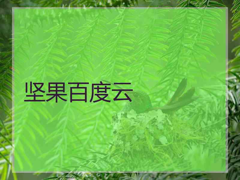 坚果百度云