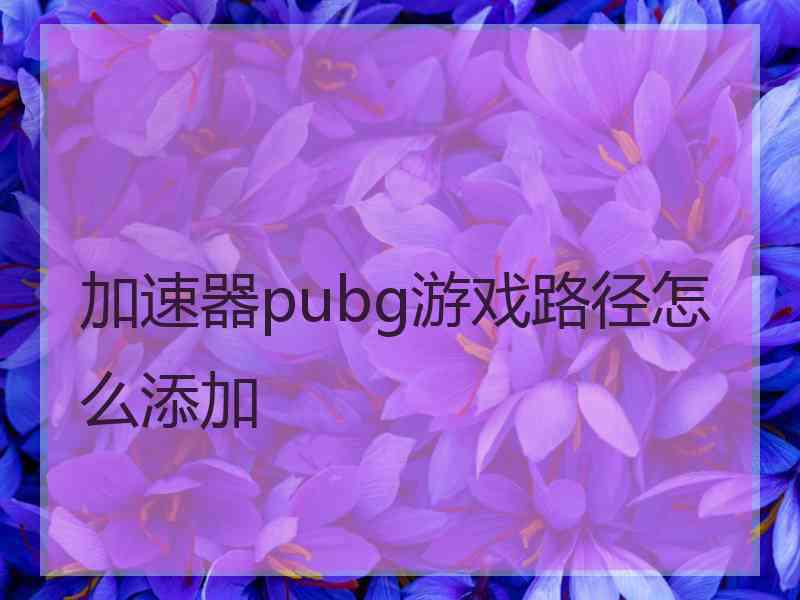 加速器pubg游戏路径怎么添加