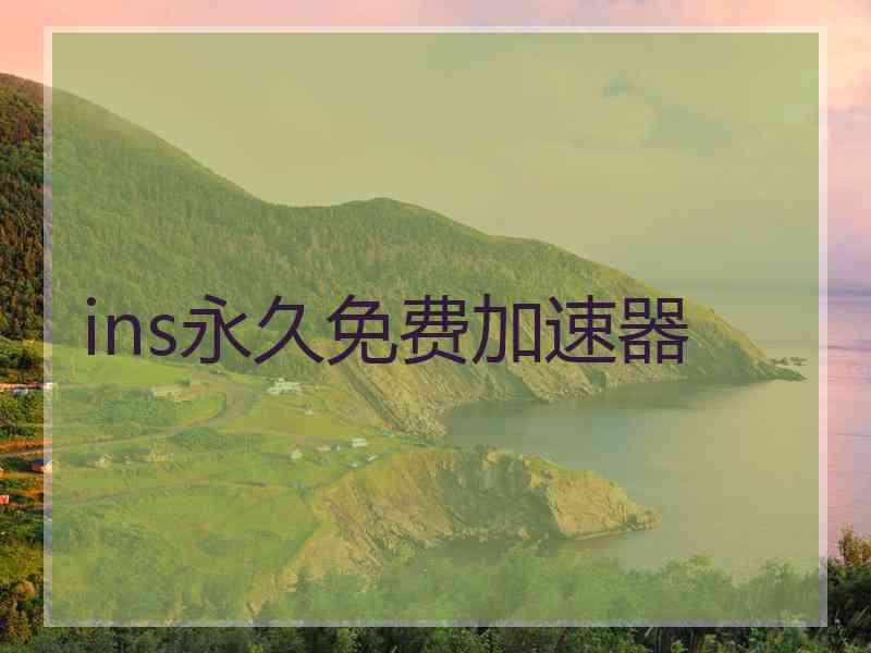 ins永久免费加速器