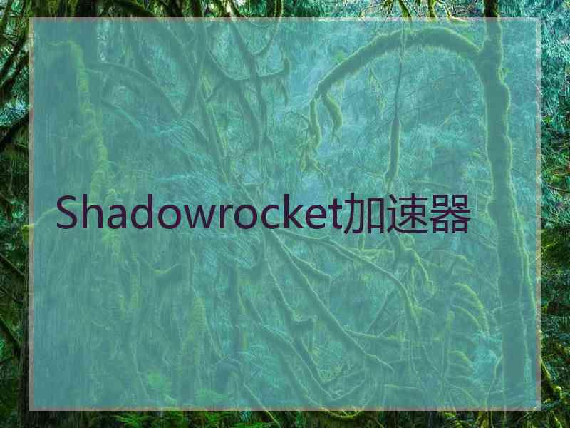 Shadowrocket加速器