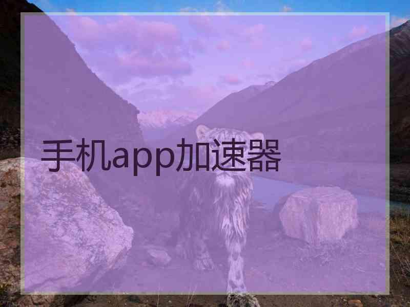 手机app加速器