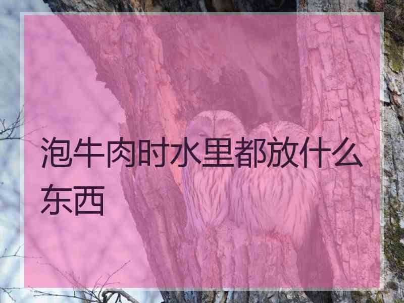 泡牛肉时水里都放什么东西