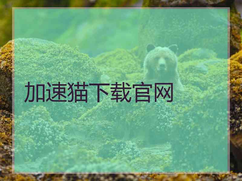 加速猫下载官网