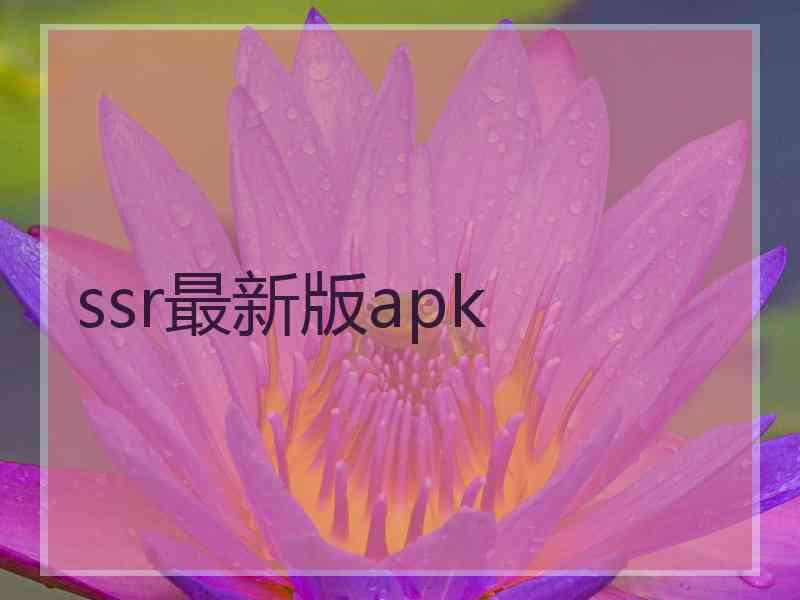 ssr最新版apk