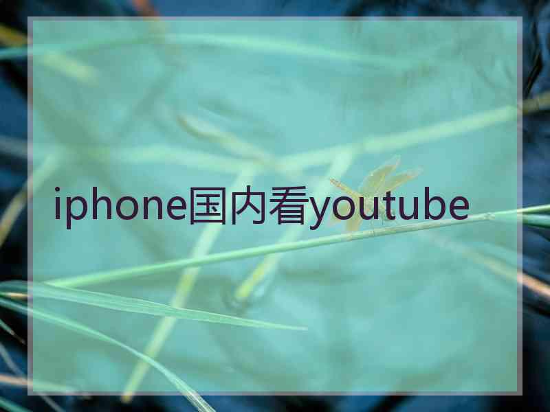 iphone国内看youtube