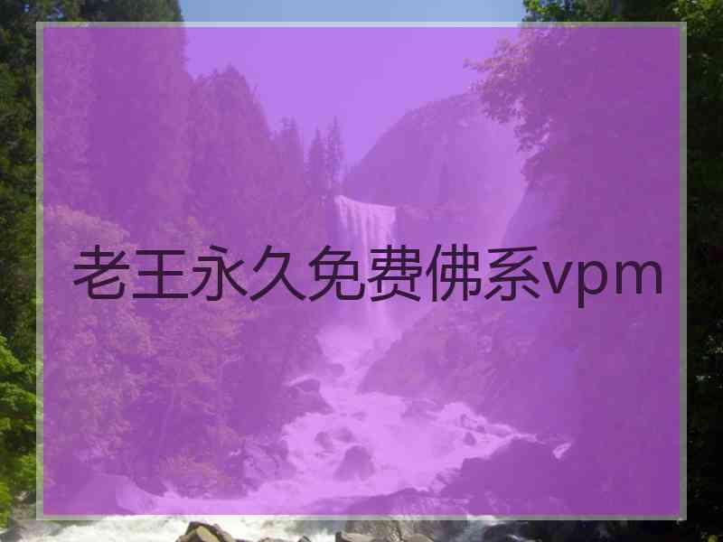 老王永久免费佛系vpm