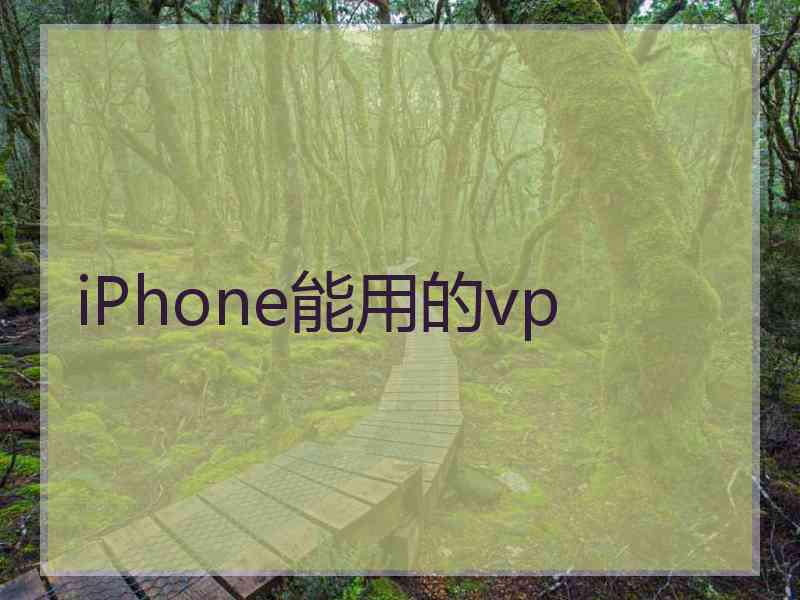 iPhone能用的vp