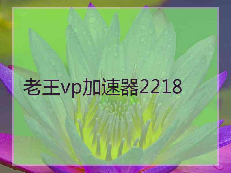 老王vp加速器2218