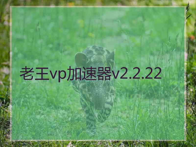 老王vp加速器v2.2.22