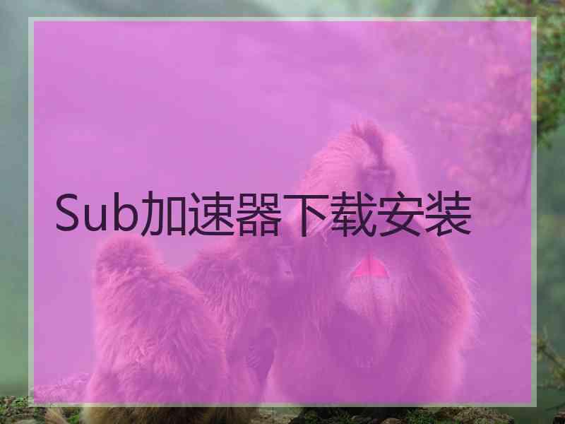 Sub加速器下载安装