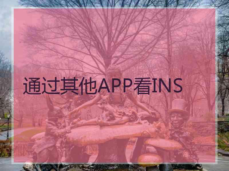 通过其他APP看INS