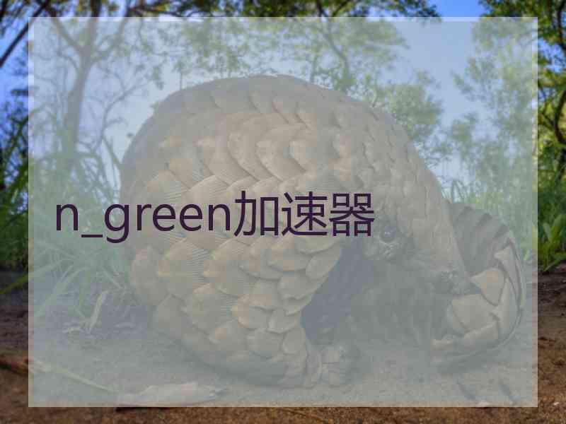 n_green加速器