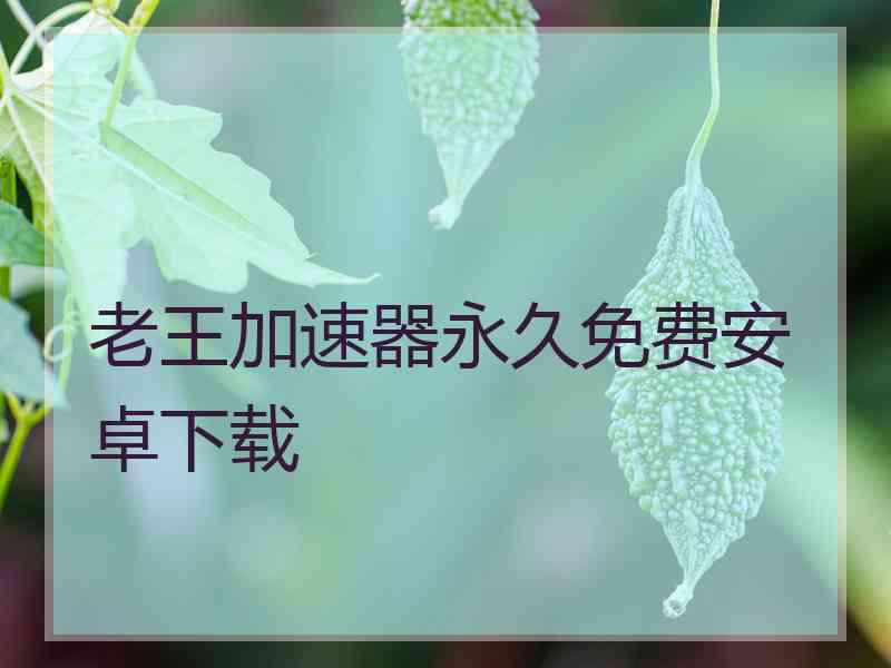 老王加速器永久免费安卓下载