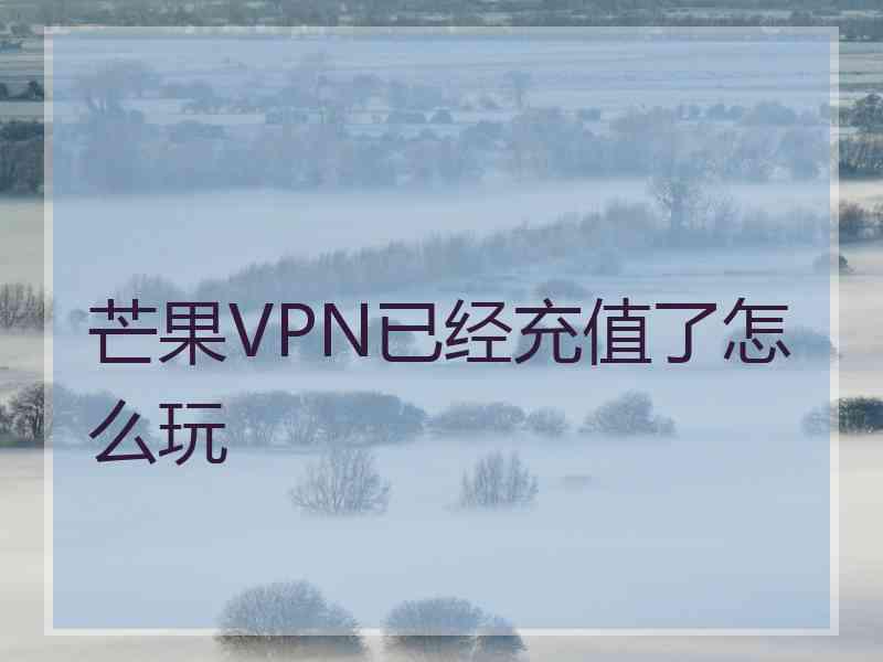 芒果VPN已经充值了怎么玩