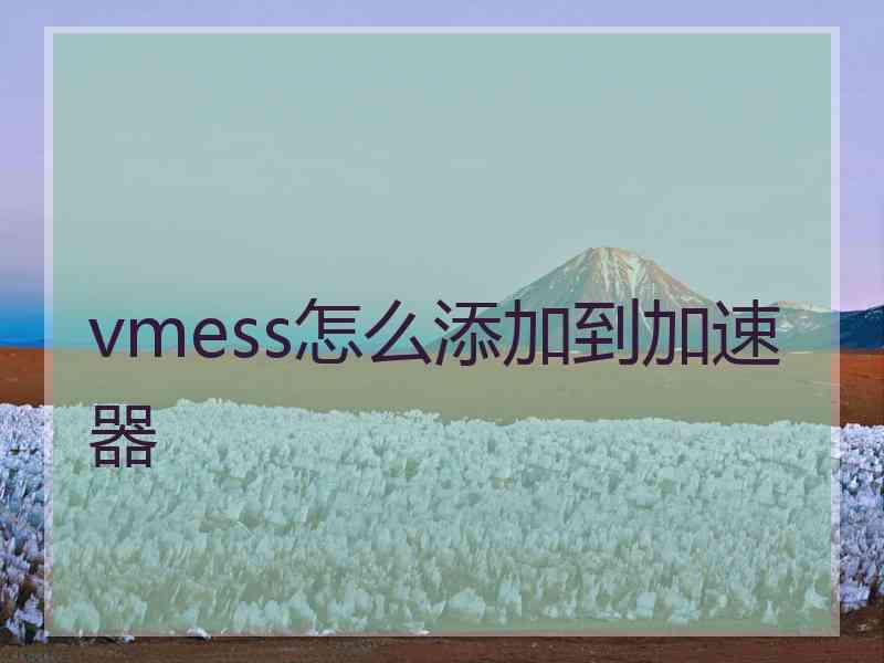 vmess怎么添加到加速器