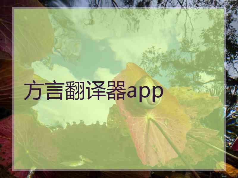 方言翻译器app