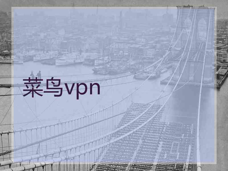 菜鸟vpn