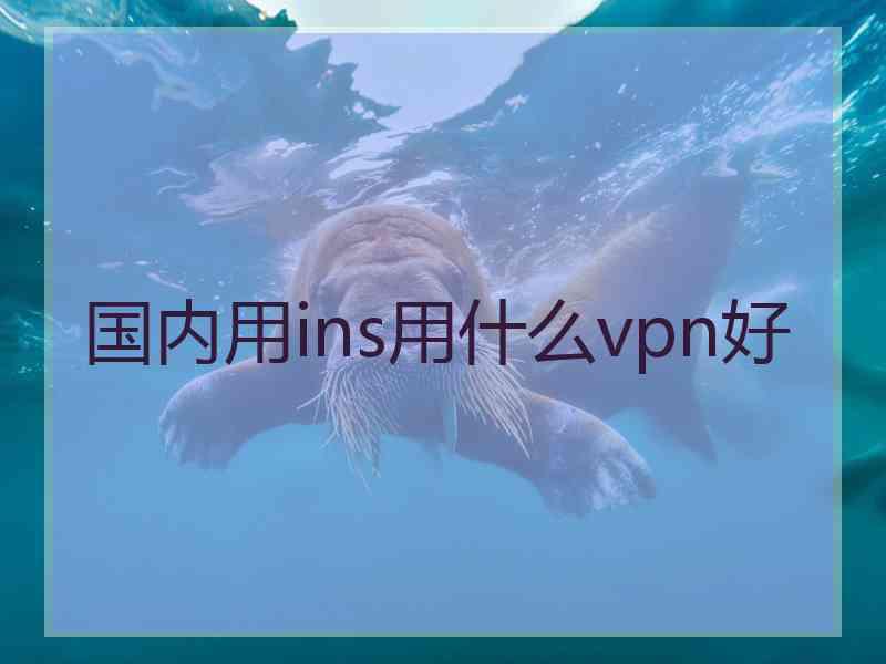 国内用ins用什么vpn好