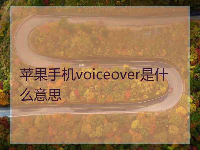 苹果手机voiceover是什么意思