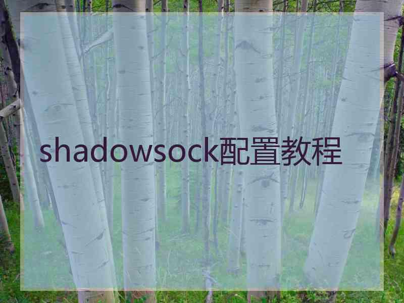 shadowsock配置教程