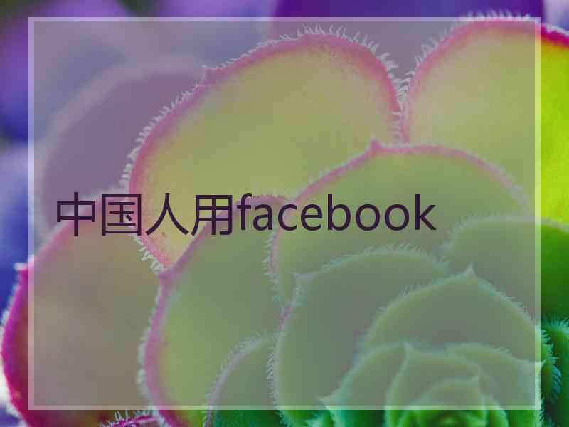 中国人用facebook