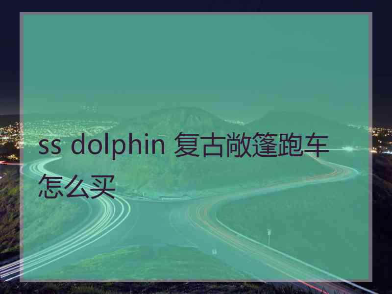 ss dolphin 复古敞篷跑车怎么买