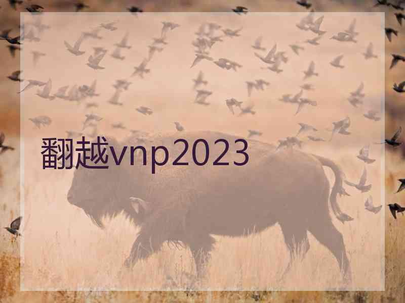 翻越vnp2023