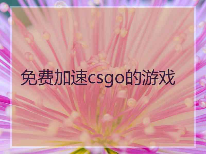 免费加速csgo的游戏